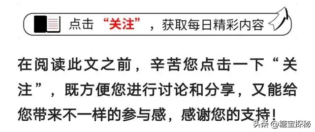 禁止在全国范围内补课！新规定自2023年10月15日起执行，违者将受到法律制裁